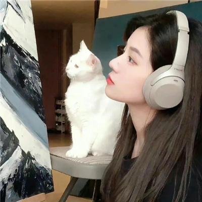 青龙复仇